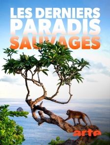 Arte - Les derniers paradis sauvages