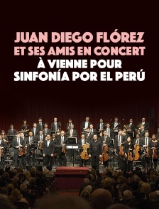 Juan Diego Flórez et ses amis en concert à Vienne pour Sinfonía por el Perú