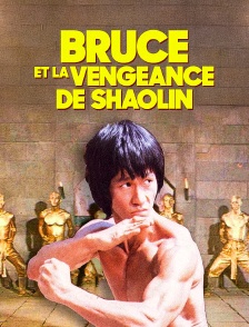 Bruce et la Vengeance de Shaolin