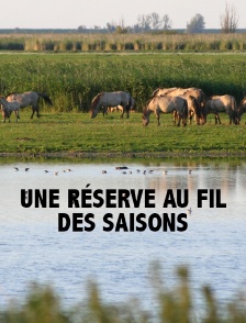 Une réserve au fil des saisons
