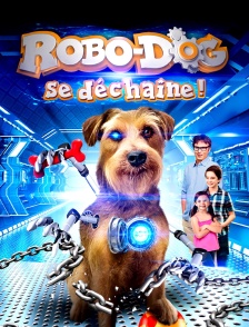 Robo-dog se déchaine