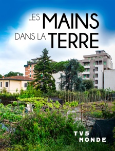 TV5MONDE - Les Mains dans la Terre