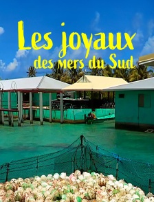 Les joyaux des mers du Sud