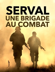 Serval, une brigade au combat