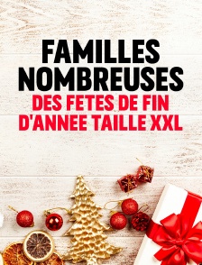 Familles nombreuses : des fêtes de fin d'année taille XXL