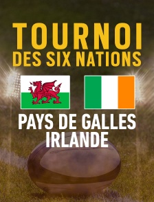 Tournoi des VI Nations : Pays de Galles / Irlande