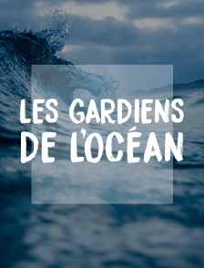 Les gardiens de l'océan