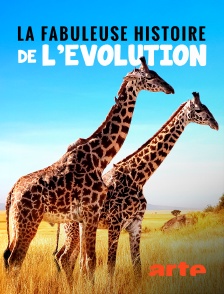 La fabuleuse histoire de l'évolution