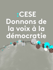 CESE : Donnons de la voix à la démocratie