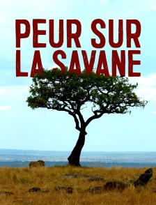 Peur sur la savane