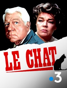 France 3 - Le chat