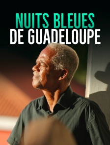 Nuits bleues de Guadeloupe - au coeur du terrorisme indépendantiste
