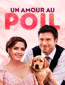 Un amour au poil