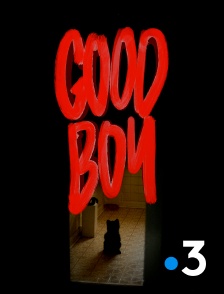 France 3 - Good Boy