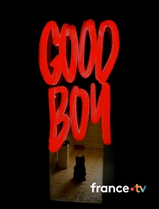 france.tv - Good Boy en replay