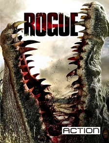 ACTION - Rogue