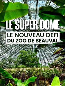 Le super dôme : le nouveau défi du zoo de Beauval