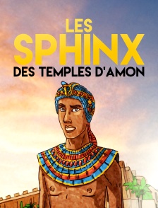 Les sphinx des temples d'Amon