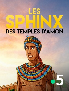 Les sphinx des temples d'Amon