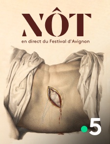 France 5 - Nôt - en direct du Festival d'Avignon