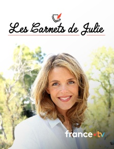 france.tv - Les carnets de Julie