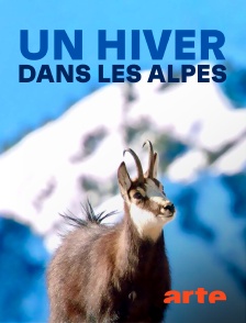 Arte - Un hiver dans les Alpes