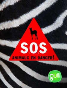 S.O.S. animaux en danger