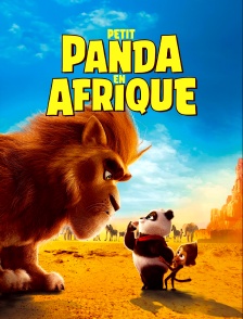 Petit Panda en Afrique