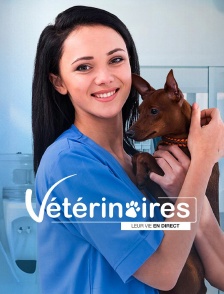 Vétérinaires, leur vie en direct