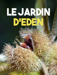 Le jardin d'Eden