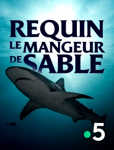 France 5 - Requin, le mangeur de sable
