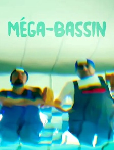 Méga bassin