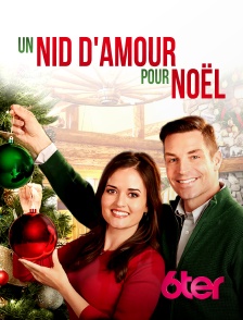 6ter - Un nid d'amour pour Noël