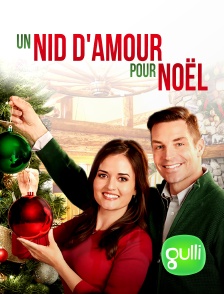 Gulli - Un nid d'amour pour Noël