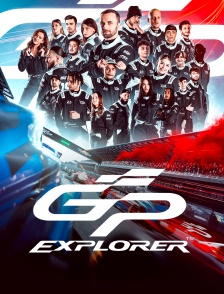 GP Explorer