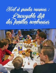 Noël et grandes vacances : l'incroyable défi des familles nombreuses