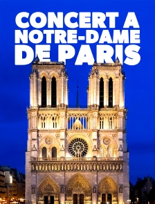 Concert à Notre-Dame de Paris : Cathédrale des voix