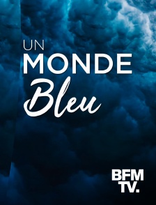 BFMTV - Un Monde Bleu