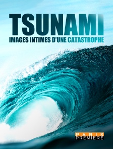 Tsunami : images intimes d'une catastrophe