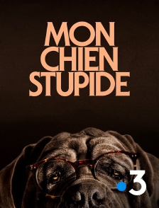 France 3 - Mon chien Stupide