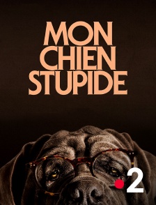 France 2 - Mon chien Stupide