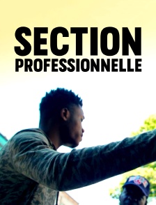 Section professionnelle