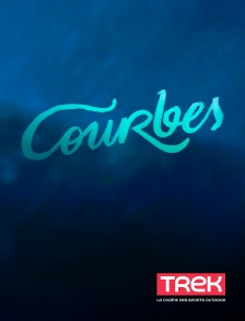 Trek - Courbes