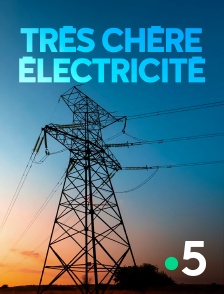 France 5 - Très chère électricité