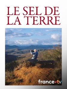 france.tv - Le Sel de la Terre