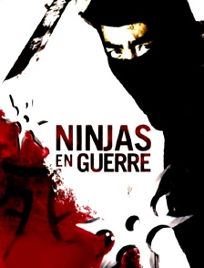 Ninjas en guerre