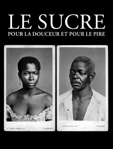 Le sucre, pour la douceur et pour le pire