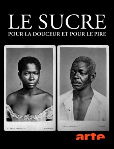 Arte - Le sucre, pour la douceur et pour le pire