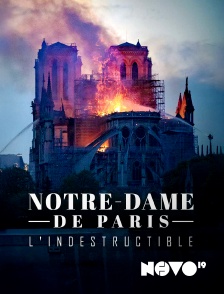 NOVO19 - Notre Dame de Paris, l'indestructible