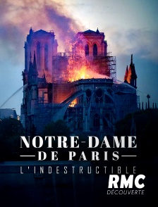 RMC Découverte - Notre Dame de Paris, l'indestructible